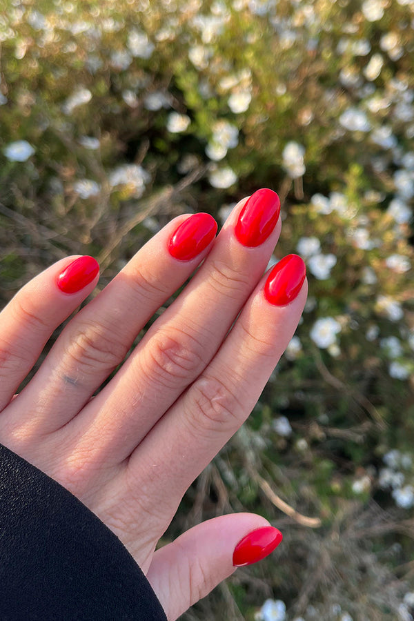 Rosie  · 130