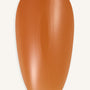 Amber  · 214