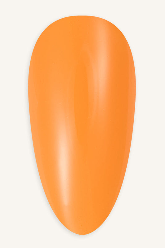 Morning Glow  · 377