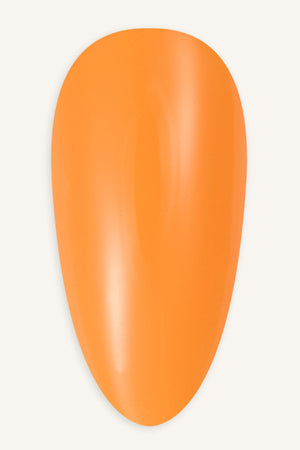 Morning Glow  · 377