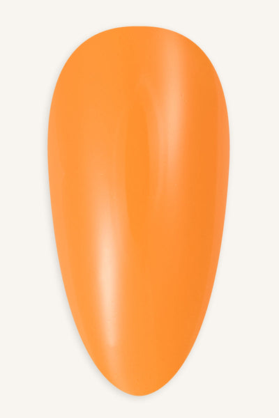 Morning Glow  · 377 - Tip