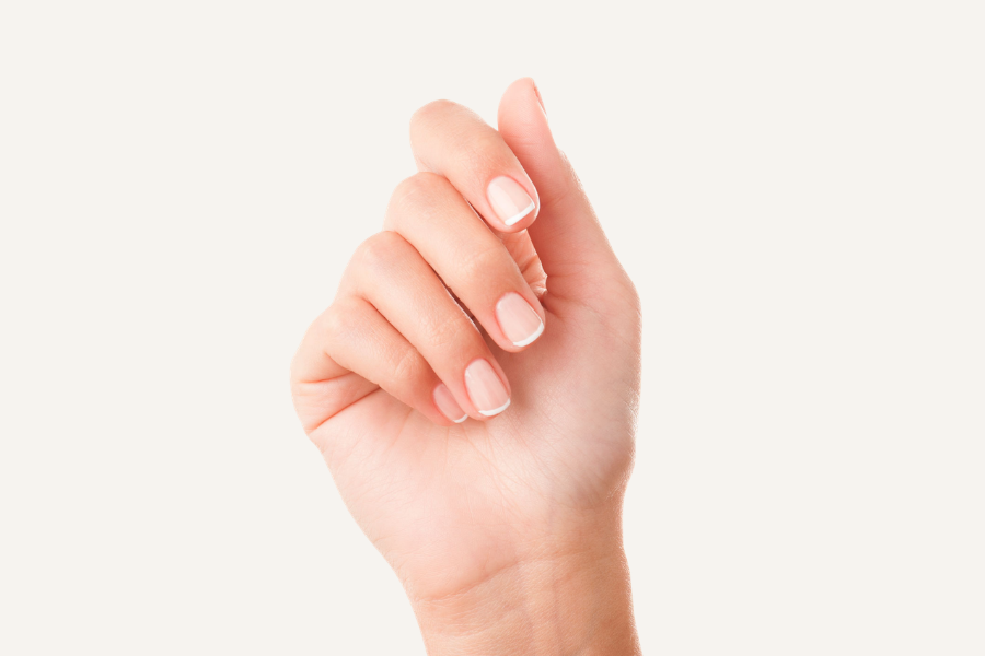 Nagelteori – Nagelns anatomi