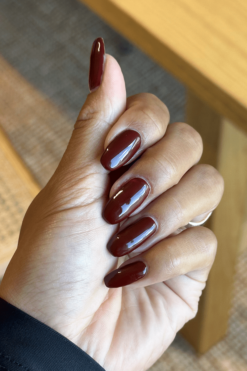 Chestnut Kiss · 484