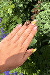 Chocolate Daisy Look
