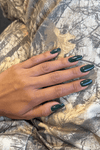 Dark Forrest · 487