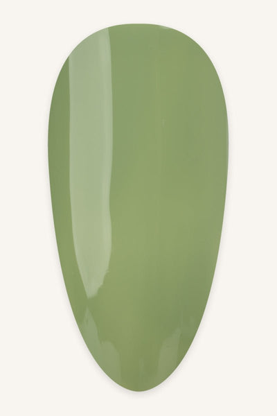 Pistachio · 488 - Tip