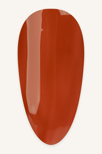 Pumpkin Spiece · 505 - Tip