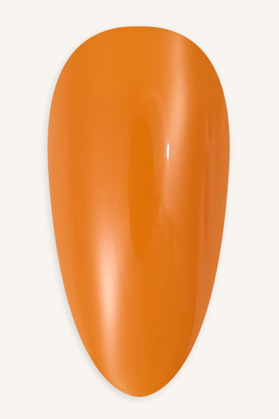 Pumpkin  · 53 - Tip