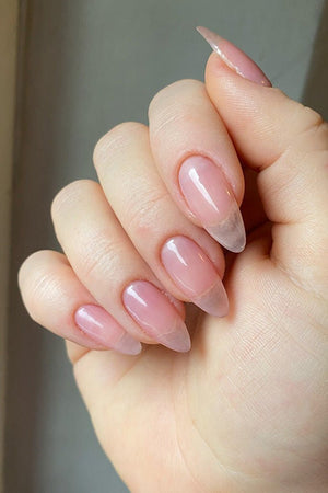 Transparent Pink · 264