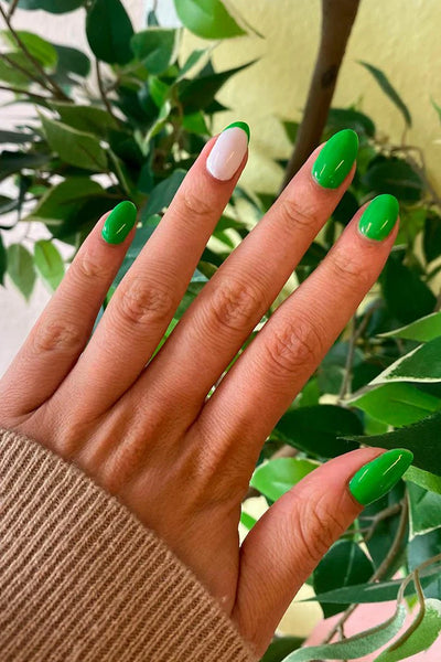 Turtle  · 68 - Hand