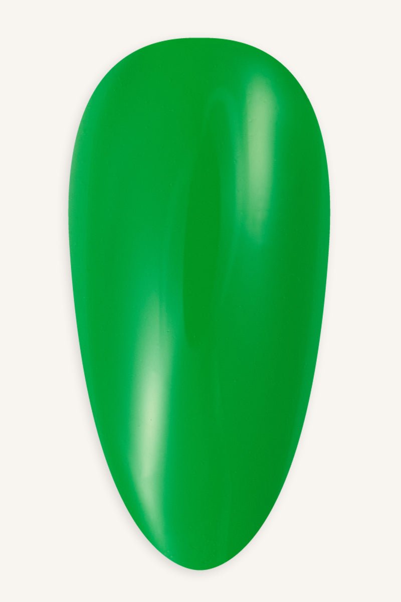 Turtle · 68